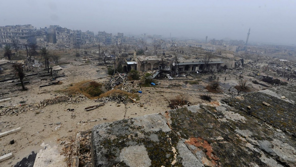 世衛組織駐敘代表感謝俄醫生在阿勒頗提供的醫療救助 - 俄羅斯衛星通訊社