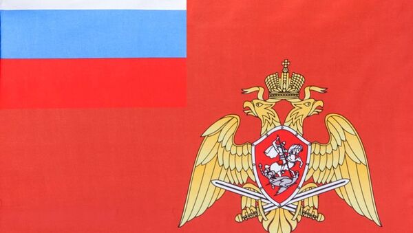 普京确定俄罗斯国家近卫军旗帜 - 俄罗斯卫星通讯社