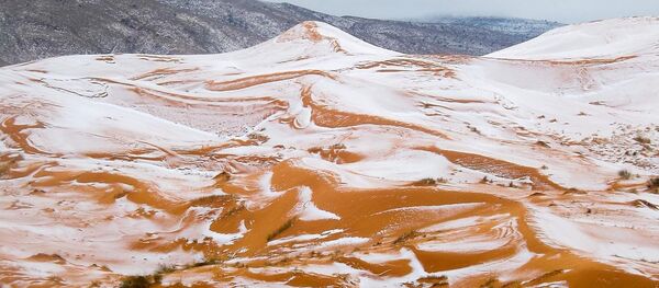 撒哈拉沙漠 - 俄罗斯卫星通讯社