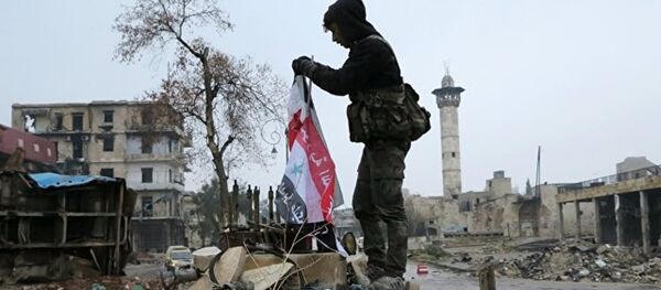 叙停火第一夜境内无战事 叙停火第一夜境内无战事 - 俄罗斯卫星通讯社