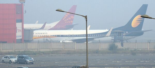 美国和印度同意恢复客运航班 - 俄罗斯卫星通讯社