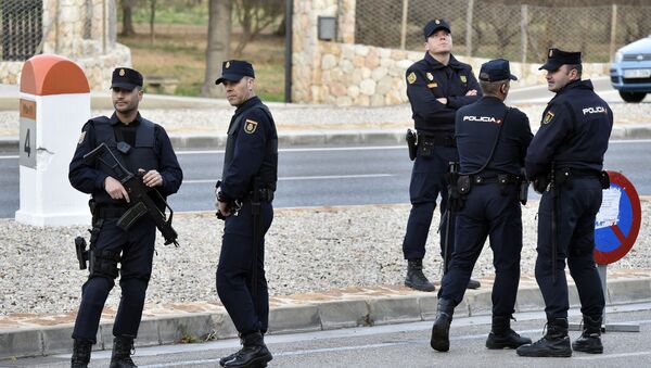 西班牙警方缴获为恐怖分子提供的可击落飞机的武器 - 俄罗斯卫星通讯社