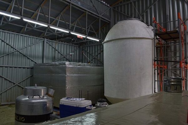 俄罗斯KrioRus公司 - 俄罗斯卫星通讯社