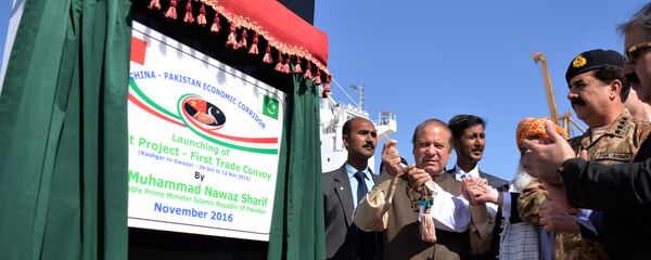 中巴经济走廊 - 俄罗斯卫星通讯社