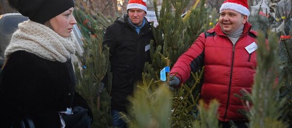 圣诞树 - 俄罗斯卫星通讯社