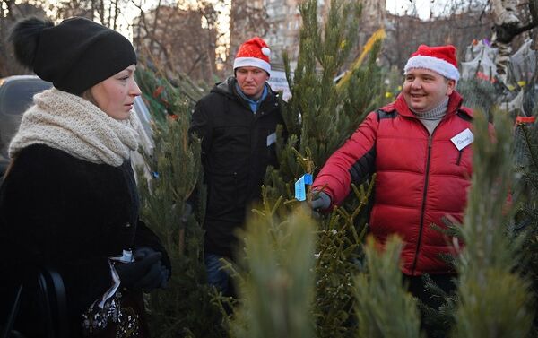 圣诞树 - 俄罗斯卫星通讯社