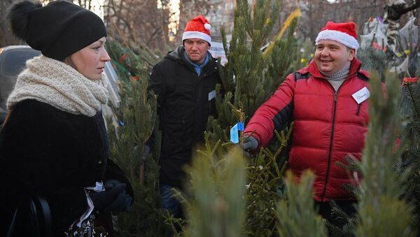 圣诞树 - 俄罗斯卫星通讯社