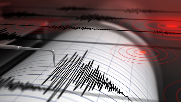 日本东京发生6.3级地震 - 俄罗斯卫星通讯社