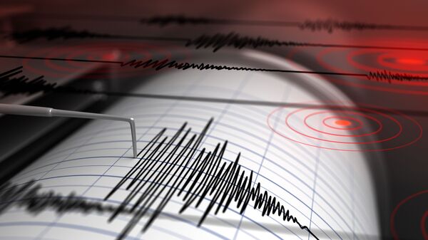 吉尔吉斯斯坦与中国交界地区发生数次5.1级地震 - 俄罗斯卫星通讯社