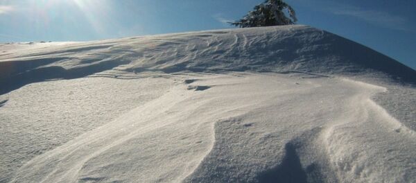 媒体：雪崩覆盖了意大利一酒店 店内可能有约20人 - 俄罗斯卫星通讯社
