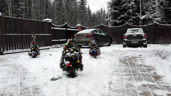 今年唯一的不同之处在于打算在别墅过年的人数明显增加。 - 俄罗斯卫星通讯社