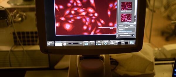 Визуализация клеточных ядер культуры опухолевых клеток простаты человека - 俄罗斯卫星通讯社