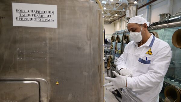 俄原子能集团愿向中国提供核电厂用的核燃料领域新产品 - 俄罗斯卫星通讯社