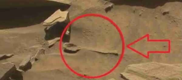 好奇”火星探测器拍到火星上有勺形物体 - 俄罗斯卫星通讯社