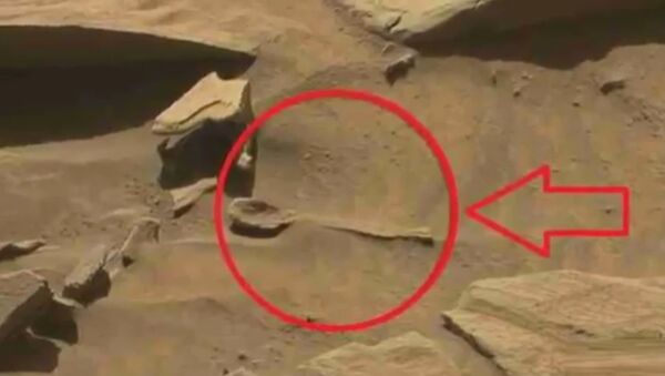 好奇”火星探测器拍到火星上有勺形物体 - 俄罗斯卫星通讯社