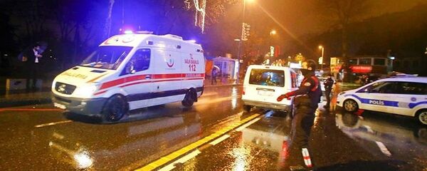 媒体：吉尔吉斯斯坦公民否认与伊斯坦布尔恐袭有关 - 俄罗斯卫星通讯社