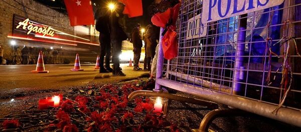 伊斯坦布尔， 警方 - 俄罗斯卫星通讯社