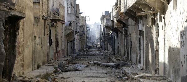 特朗普證實為解決難民危機將在敘建立“安全區” - 俄羅斯衛星通訊社