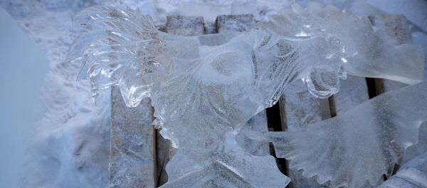 第33届哈尔滨国际冰雪节将开展冰雪旅游等5大类活动 第33届哈尔滨国际冰雪节将开展冰雪旅游等5大类活动 - 俄罗斯卫星通讯社