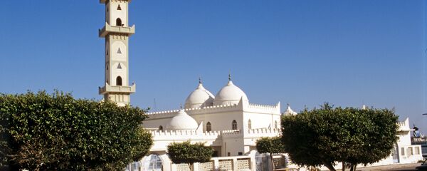 的黎波里 - 俄罗斯卫星通讯社