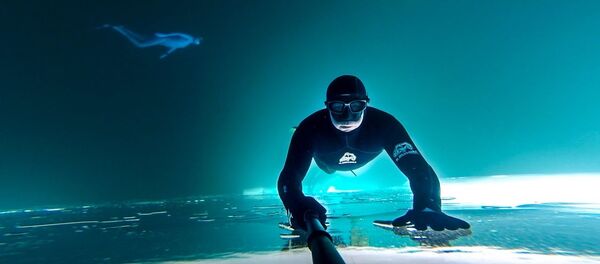 冰湖之下 - 俄罗斯卫星通讯社