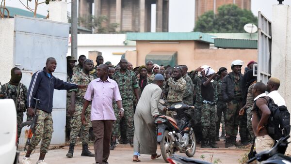 政治学家：塞内加尔向冈比亚出兵将可稳定局势 - 俄罗斯卫星通讯社