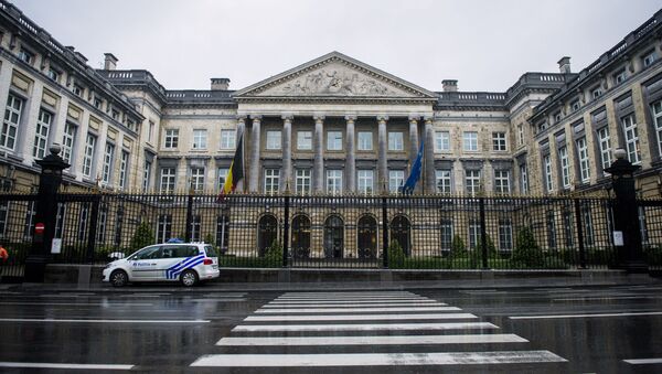 比利时联邦议会 - 俄罗斯卫星通讯社