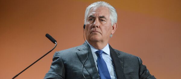 日本外相希望尽快与美国新任国务卿会晤 - 俄罗斯卫星通讯社