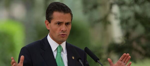 墨西哥总统称，他并不赞成美国总统关于修建隔离墙的决定 - 俄罗斯卫星通讯社