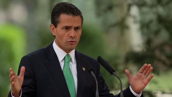 墨西哥總統恩里克∙培尼亞∙涅托 - 俄羅斯衛星通訊社
