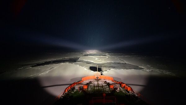 核动力破冰船将被困在暴风雪中的旅行家们“放到”了港口 - 俄罗斯卫星通讯社