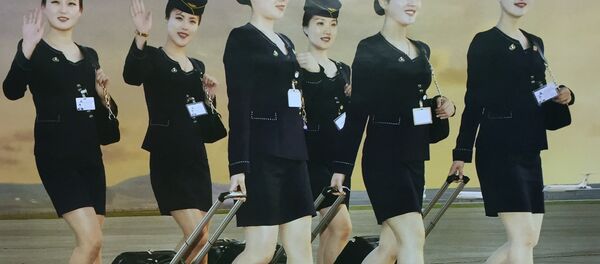 朝鲜航空公司 - 俄罗斯卫星通讯社