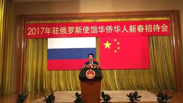 李辉大使向旅俄华人及各界朋友拜早年 - 俄罗斯卫星通讯社