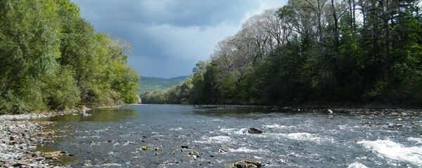 2018年中俄界江和界湖禁渔期分别为55天和45天 - 俄罗斯卫星通讯社