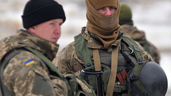 乌克兰将在维也纳文件框架内对俄进行军事检查 - 俄罗斯卫星通讯社