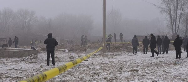 吉尔吉斯斯坦民航局：雾天不影响失事波音-747降落 - 俄罗斯卫星通讯社