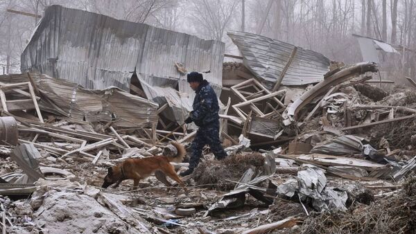 吉爾吉斯政府：比什凱克附近波音飛機空難造成至少31人死亡 另找到9具遺體碎片 - 俄羅斯衛星通訊社