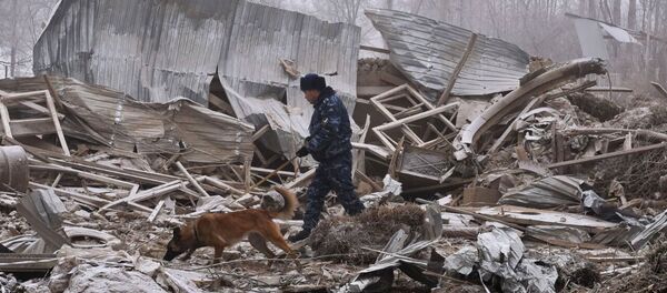 吉尔吉斯斯坦副总理：出事飞机的“黑匣子”已经找到 - 俄罗斯卫星通讯社