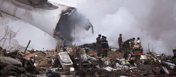 吉副总理：土耳其货机是在能见度较差但允许的条件下实施的降落 - 俄罗斯卫星通讯社