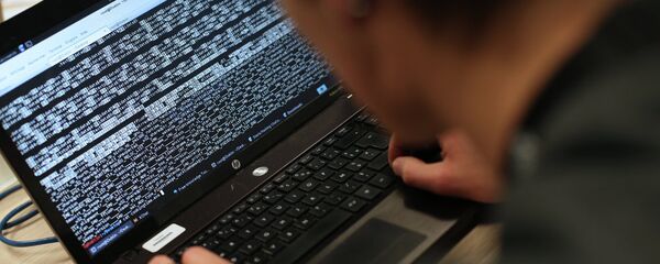 俄总统顾问：保障信息安全的唯一途径是像中国一样限制互联网 - 俄罗斯卫星通讯社