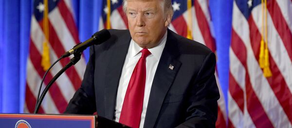 美SpaceX公司创始人：与特朗普会面时将对移民禁令提出反对意见 - 俄罗斯卫星通讯社