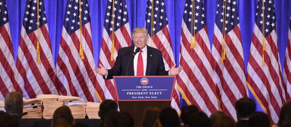 媒體：台灣反對黨（民進黨）前主席將參加特朗普就職典禮 - 俄羅斯衛星通訊社