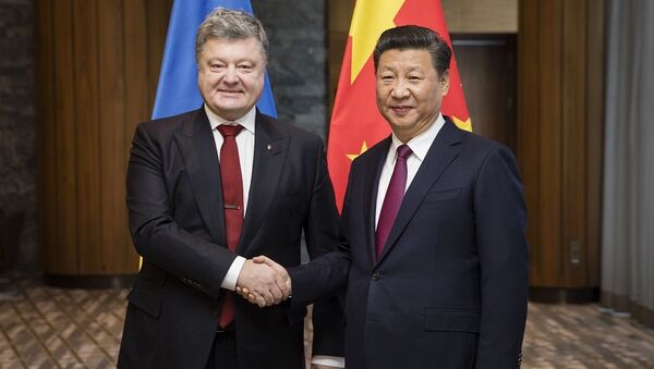 乌克兰总统：乌克兰欢迎中国企业加大对乌投资 - 俄罗斯卫星通讯社