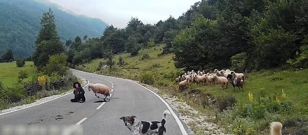 видеоклуб - 俄罗斯卫星通讯社