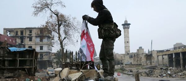 叙利亚 - 俄罗斯卫星通讯社