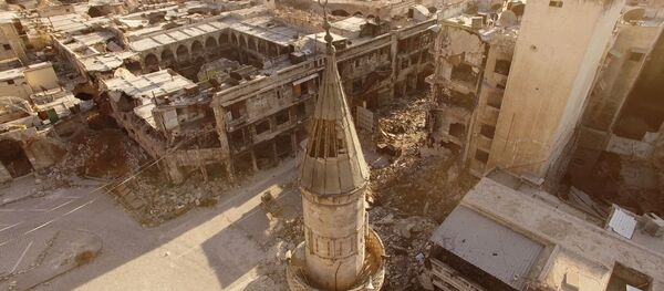 叙利亚 - 俄罗斯卫星通讯社