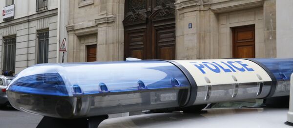 法国警察 - 俄罗斯卫星通讯社