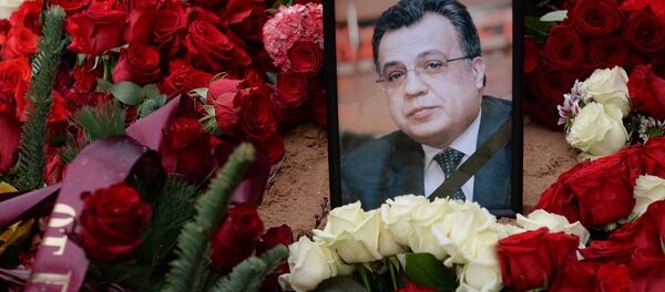 安德烈∙卡尔洛夫 - 俄罗斯卫星通讯社