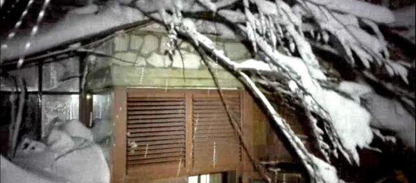 意大利 意大利 - 俄罗斯卫星通讯社