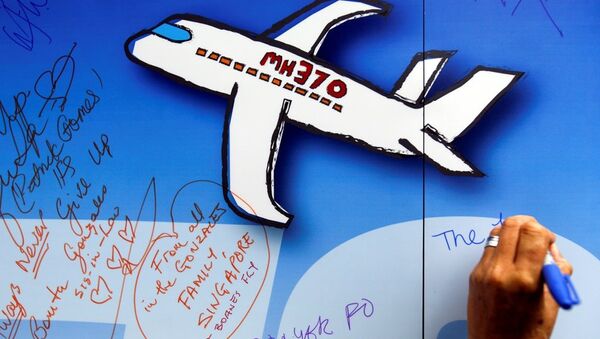 马来西亚政府将资金奖励找到失踪马航MH370外壳的私人公司 - 俄罗斯卫星通讯社